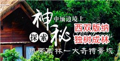 肥女BB