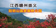 少妇吃鸡巴